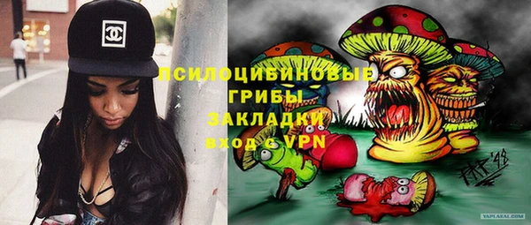 a pvp Арсеньев